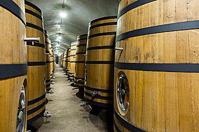 国产惊悚游戏《三伏》新动图 故事或发生在重庆